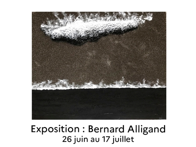 EXPOSITION Bernard ALLIGAND