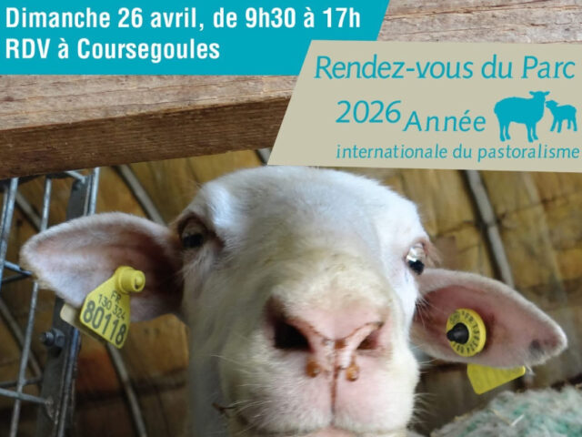 RENDEZ-VOUS DU PARC – Tout autour de la laine