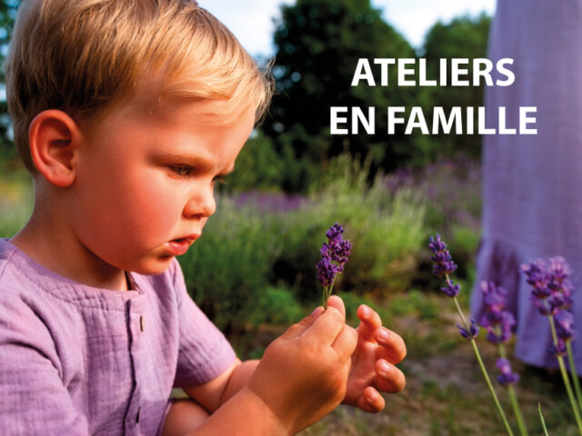 ATELIERS EN FAMILLE
